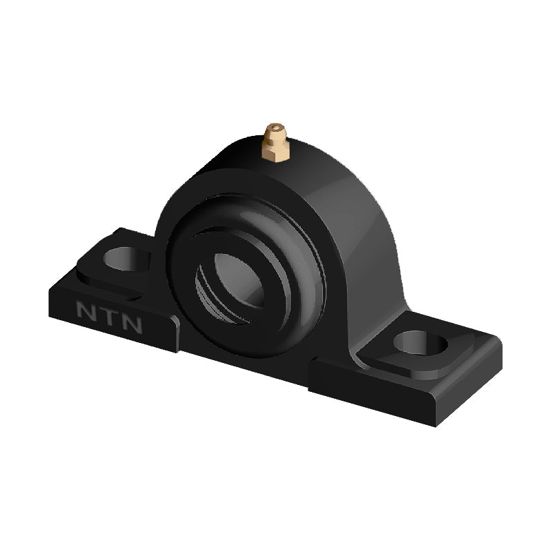 NTN S-UCPX05D1 Metric Cast Iron Two Bolt Pillow / Plummer Block Housing with 25mm Bore Insert with Steel Plate Cover - Open Version - Allow 2-3 Days