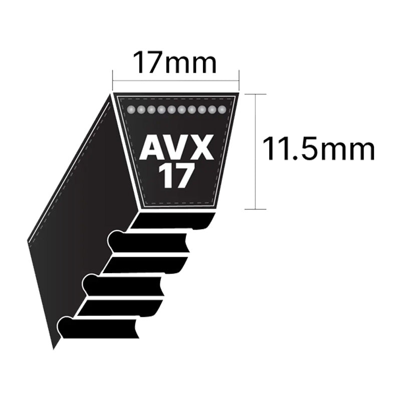 AVX17x2240 Pix AVX-Section Cogged V-Belt