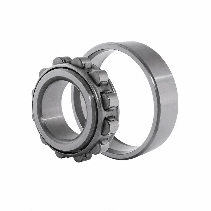 N305 Budget Single Row Cylindrical Roller Bearing 25x62x17mm