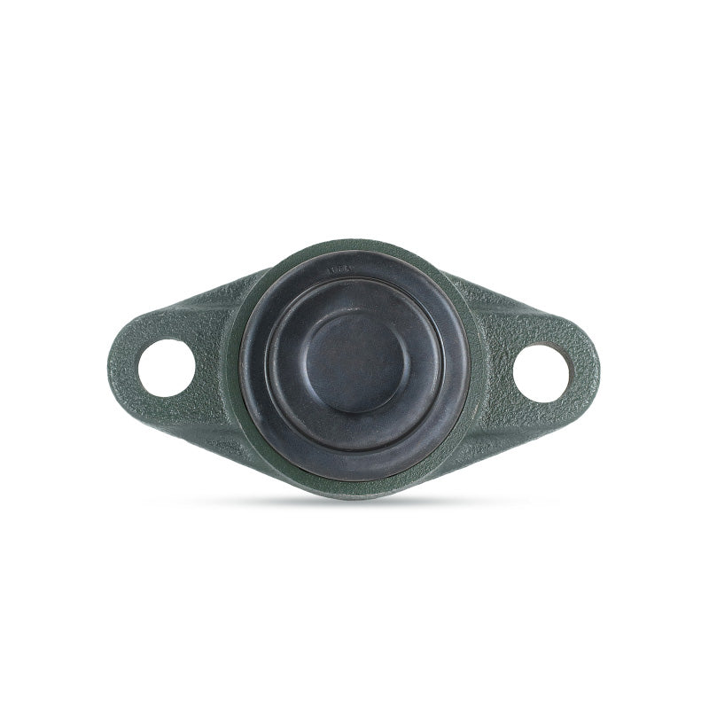 NTN SM-UCFLX08-109D1 Imperial Two Bolt Oval Cast Iron Flange Housing with 1-9/16 inch Bore Insert with Steel Plate Cover - Closed Version - Allow 2-3 Days