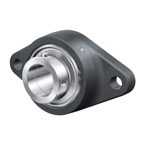 INA RCJTY12XL Two Bolt Cast Iron Oval Housing with Grub Screw Insert 12mm Bore