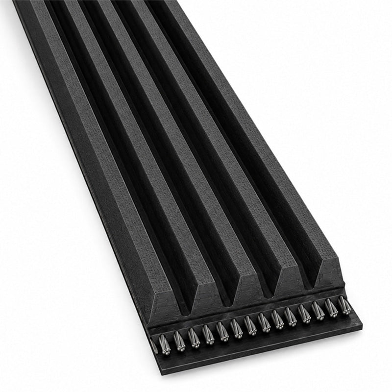 Major Brand 925PK/364K Poly V Multiple Ribbed Belt 925mm/36.4 inch Length with 5 Ribs
